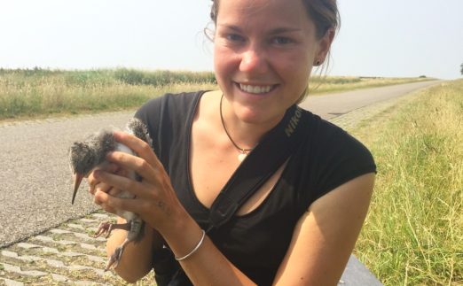 Welcome AmeriCorps Member!