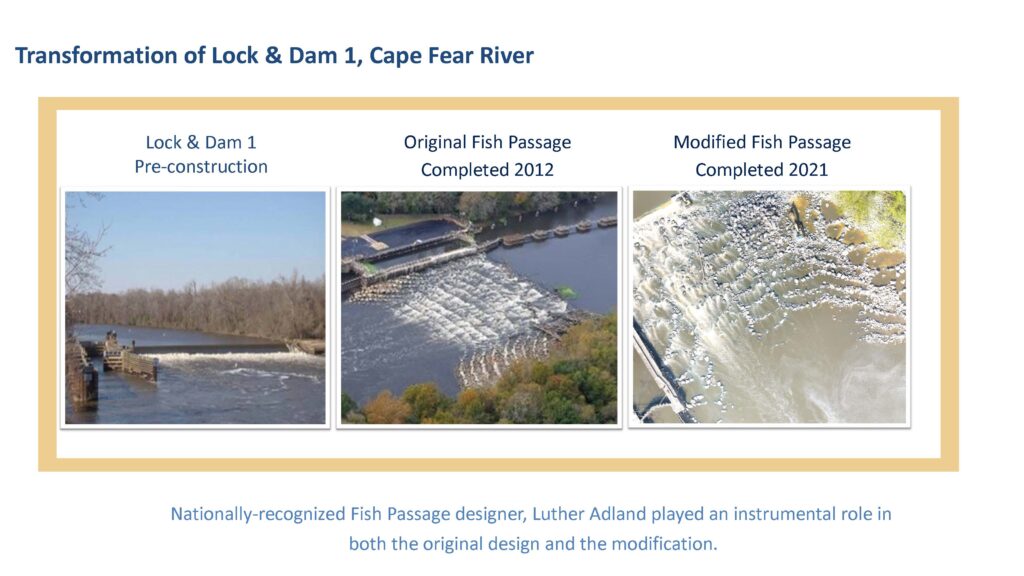 Cape Fear River Watchnull